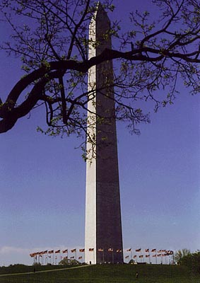 The Washington Monument