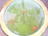 Day7_b_HAgarden5